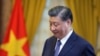 专家：越南加入中国“未来共享共同体”只是为了安抚北京