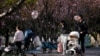 上海一个公园里父母推着婴儿车赏春。（2023年4月2日）