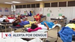 Honduras se mantiene en alerta ante numerosos casos de dengue