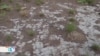 Cambio climático impacta las tierras costeras salvadoreñas