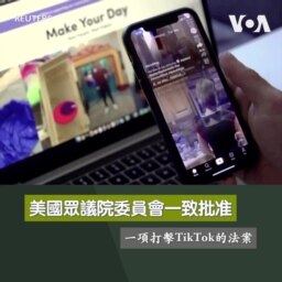 美國眾議院委員會一致批准一項打擊TikTok的法案 
