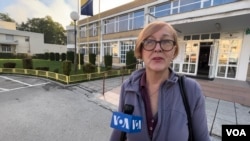 Emina Peljto, Sarajevo