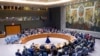 UN General Assembly Security Council