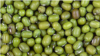 မတ်ပဲ (ဓါတ်ပုံ- Myanmar Pulses, Beans & Sesame Seeds Merchants Association )