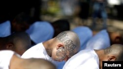 Algunos pandilleros arrestados de la MS-13 arrestados en Nueva York fueron deportados a El Salvador en 2019.