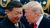 美国总统特朗普和中国国家主席习近平2017年11月9日在北京的一个欢迎仪式上交谈。