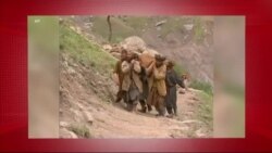 د ډیوه د روانو چارو خپرونه په ټي وي
