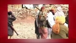 د ډیوه د روانو چارو خپرونه په ټي وي
