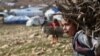 Yazidis Exchanged for IS Prisoners
