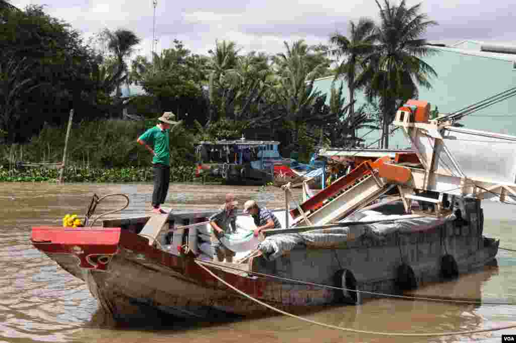 Công nhân bốc dỡ các bao gạo từ tàu. 14/9/2012. (D. Schearf/VOA)