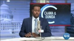 Caawa iyo Dunida