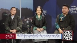 བོད་མིའི་སྒྲིག་འཛུགས་ཀྱི་གདོང་ལེན་དང་ཛ་དྲག་གི་གནད་དོན།