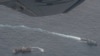 Buques de la Armada ecuatoriana rodean a un barco de pesca, detectado en un corredor internacional que limita con la zona económica exclusiva de las Islas Galápagos, en el Océano Pacífico, el 7 de agosto de 2020.