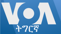 ፈነወ ድምጺ ኣመሪካ ቋንቋ ትግርኛ ጥቅምቲ 31,2022