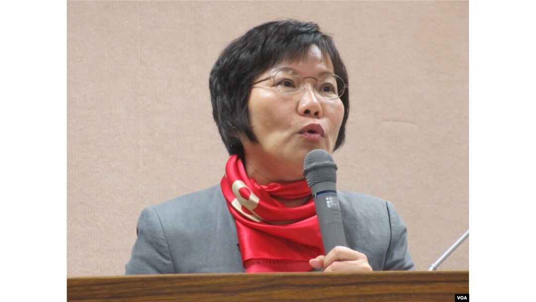 民進黨立委劉世芳（美國之音張永泰拍攝）