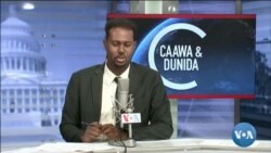 Caawa iyo Dunida