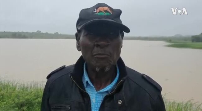 Inkomo Zika Stephen Moyo Ezinengi Zibulewe Yikoma Lokuswelakala Kwamadlelo