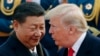 中国国家主席习近平和美国总统特朗普