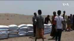 ፈነወ ድምጺ ኣመሪካ ቋንቋ ትግርኛ ሰነ 24,2022