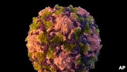 EEUU-POLIO