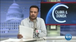 Caawa iyo Dunida