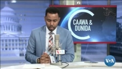 Caawa iyo Dunida
