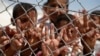 World Freedom Declines for 10th Year