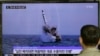 Singa laut berusia 15 tahun bernama &#39;Leo&#39;, menulis karakter China yang berarti babi hutan, dalam acara menjelang tahun baru mendatang yang akan merupakan Tahun Babi, di taman hiburan laut Hakkeijima, Yokohama, Jepang.