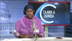 Caawa iyo Dunida