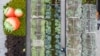 16x9 Image