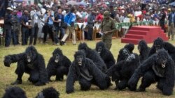 Amakuru y'Akarere