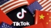 TikTok要打击美国中期选举虚假信息？专家：够呛 