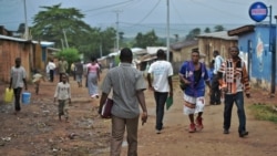 Murisanga