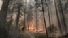 California: usan drone para combatir incendio