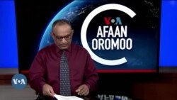 Tamsaasa Guyaadhaa Guyyaa