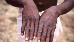Murisanga