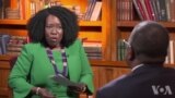 Ambassador Brian Nichols Votaura Pamusoro peZvirango Zvehupfumi Zvakatemherwa Nyika