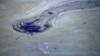 California Oil Spill Endangers Coastal Wildlife