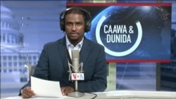 Caawa iyo Dunida