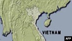Ðàn đá cổ 3.000 năm được tìm thấy ở miền trung Việt Nam