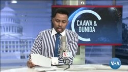Caawa iyo Dunida